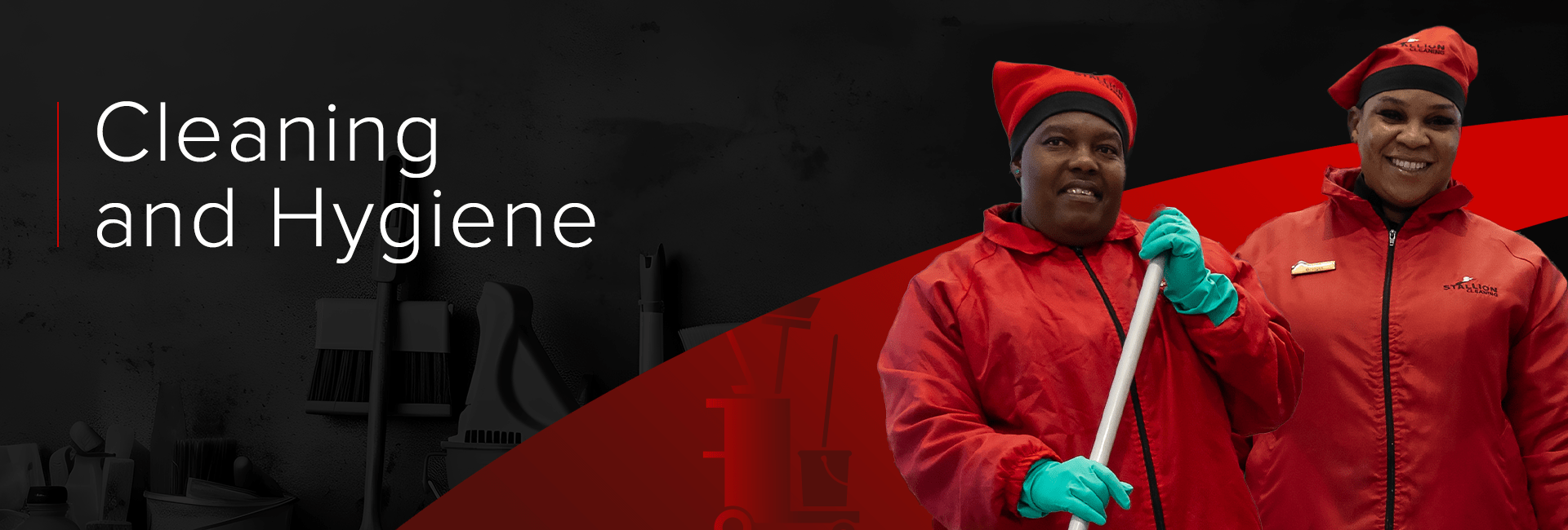 Cleaning and Hygiene Banner Opt2
