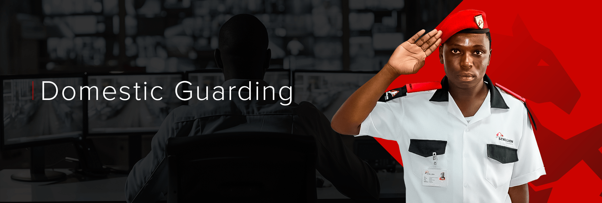 domestic-guarding